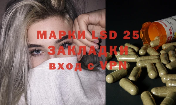 ПСИЛОЦИБИНОВЫЕ ГРИБЫ Михайловка