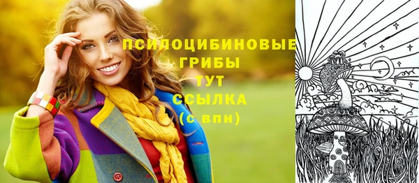 кокс Мегион