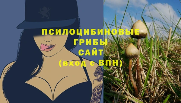 бошки Михайлов