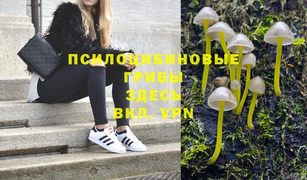 бошки Михайлов