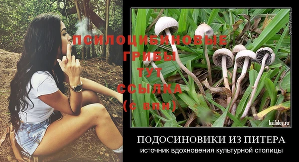 бошки Михайлов